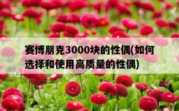 賽博朋克3000塊的性偶，如何選擇和使用高質量的性偶