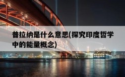 普拉納是什么意思，探究印度哲學中的能量概念