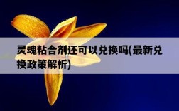 靈魂粘合劑還可以兌換嗎，最新兌換政策解析
