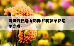 海蜘蛛軟路由安裝，如何簡單快速地完成