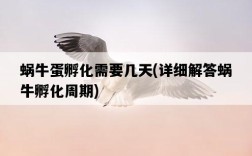 蝸牛蛋孵化需要幾天，詳細解答蝸牛孵化周期