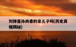 劉禪是孫尚香的親兒子嗎，歷史真相揭秘