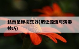 琵琶是彈撥樂器，歷史源流與演奏技巧