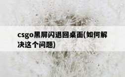 csgo黑屏閃退回桌面，如何解決這個問題