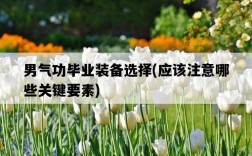 男氣功畢業裝備選擇，應該注意哪些關鍵要素