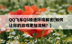 QQ飛車QS極速環境解密，如何讓你的游戲更加流暢？