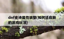 dnf史詩屬性調整，如何適應新的游戲玩法