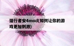 潛行者安4mod，如何讓你的游戲更加刺激