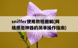 sniffer使用教程圖解，網絡抓包神器的簡單操作指南