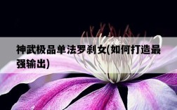 神武極品單法羅剎女，如何打造最強輸出