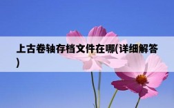 上古卷軸存檔文件在哪，詳細解答
