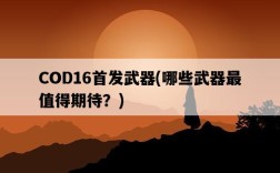COD16首發武器，哪些武器最值得期待？