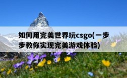 如何用完美世界玩csgo，一步步教你實現完美游戲體驗