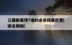三國群英傳7誰的必殺技最厲害，排名揭曉