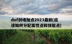 dnf劍魂加點2023最新，應該如何分配屬性點和技能點