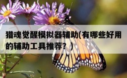 獵魂覺醒模擬器輔助，有哪些好用的輔助工具推薦？