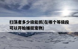 掃蕩者多少級能抓，在哪個等級段可以開始捕捉寵物