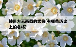 使用方天畫戟的武將，有哪些歷史上的名將