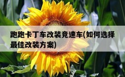 跑跑卡丁車改裝競速車，如何選擇最佳改裝方案