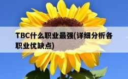 TBC什么職業最強，詳細分析各職業優缺點
