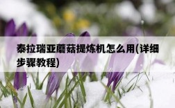 泰拉瑞亞蘑菇提煉機怎么用，詳細步驟教程