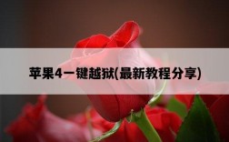 蘋果4一鍵越獄，最新教程分享