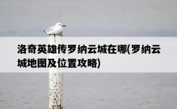 洛奇英雄傳羅納云城在哪，羅納云城地圖及位置攻略