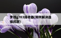 羅技g703接收器，如何解決連接問題
