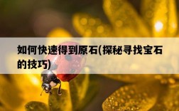 如何快速得到原石，探秘尋找寶石的技巧