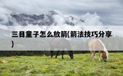 三目童子怎么放箭，箭法技巧分享