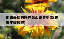 地鐵最后的曙光怎么設置中文，詳細步驟教程