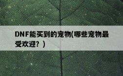 DNF能買到的寵物，哪些寵物最受歡迎？