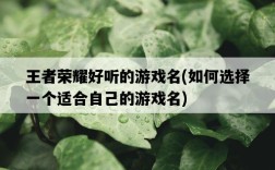 王者榮耀好聽的游戲名，如何選擇一個適合自己的游戲名