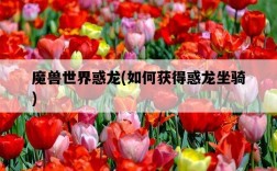 魔獸世界惑龍，如何獲得惑龍坐騎