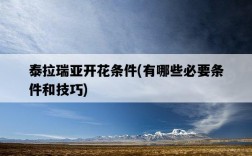 泰拉瑞亞開花條件，有哪些必要條件和技巧