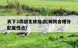 天下3弈劍玄修加點，如何合理分配屬性點