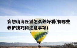 妄想山海丘狐怎么養好看，有哪些養護技巧和注意事項