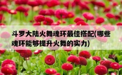 斗羅大陸火舞魂環最佳搭配，哪些魂環能夠提升火舞的實力