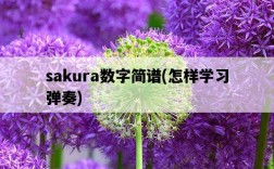 sakura數字簡譜，怎樣學習彈奏