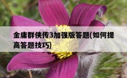 金庸群俠傳3加強版答題，如何提高答題技巧