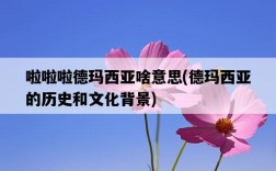 啦啦啦德瑪西亞啥意思，德瑪西亞的歷史和文化背景