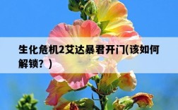 生化危機2艾達暴君開門，該如何解鎖？