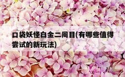 口袋妖怪白金二周目，有哪些值得嘗試的新玩法