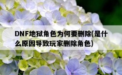 DNF地獄角色為何要刪除，是什么原因導致玩家刪除角色