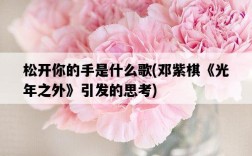 松開你的手是什么歌，鄧紫棋《光年之外》引發的思考