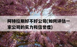 阿特拉斯好不好公司，如何評估一家公司的實力和信譽度