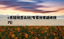 c系輕坦怎么玩，專家分享戰術技巧
