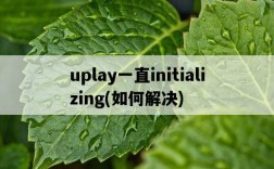 uplay一直initializing，如何解決