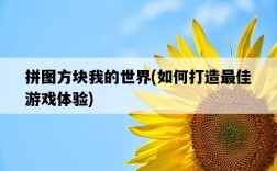 拼圖方塊我的世界，如何打造最佳游戲體驗