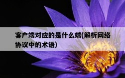 客戶端對應的是什么端，解析網絡協議中的術語